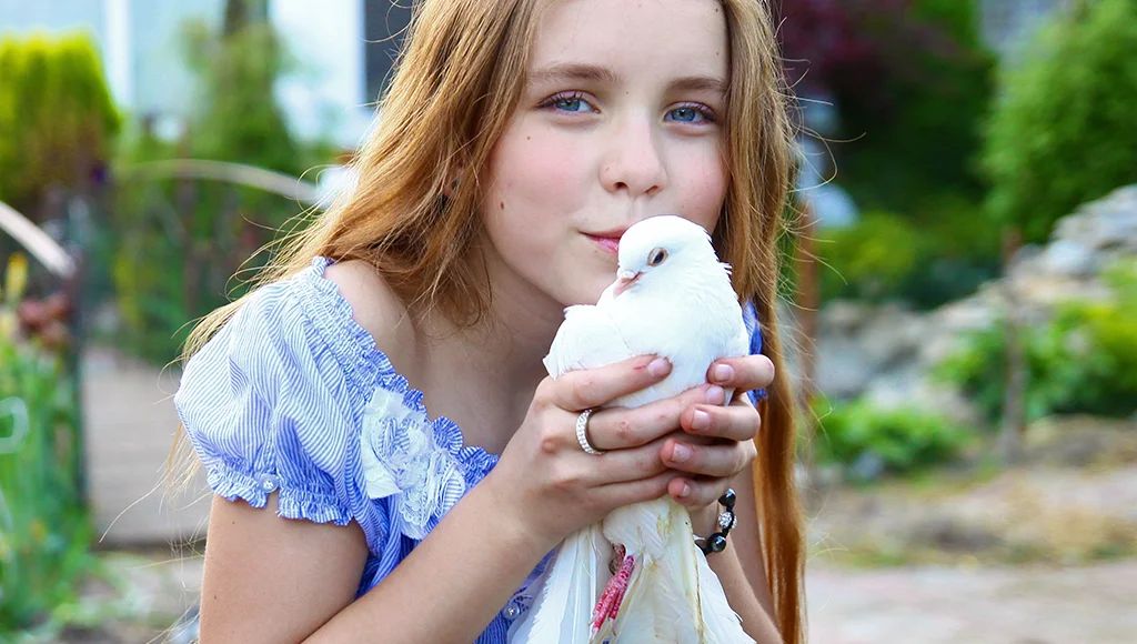 How Long Do Pigeons Live? Are they worthy as pets 1 Pigeons as pet