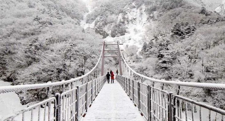 The Best Time to Visit Korea: A Seasonal Guide 3 Outside of Seoul & Busan
