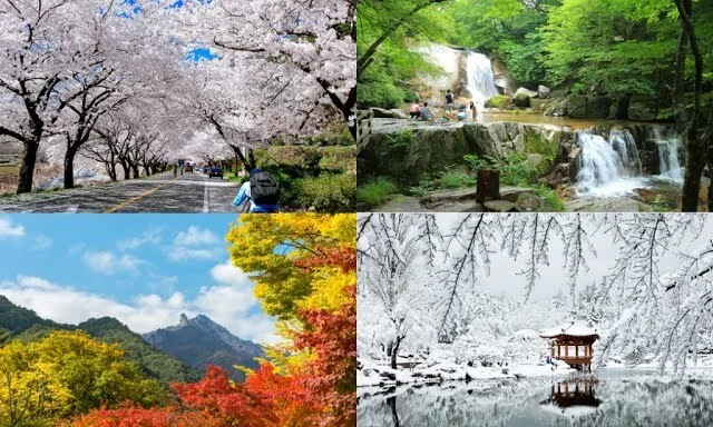 The Best Time to Visit Korea: A Seasonal Guide 1 How Many Seasons Does Korea Have?