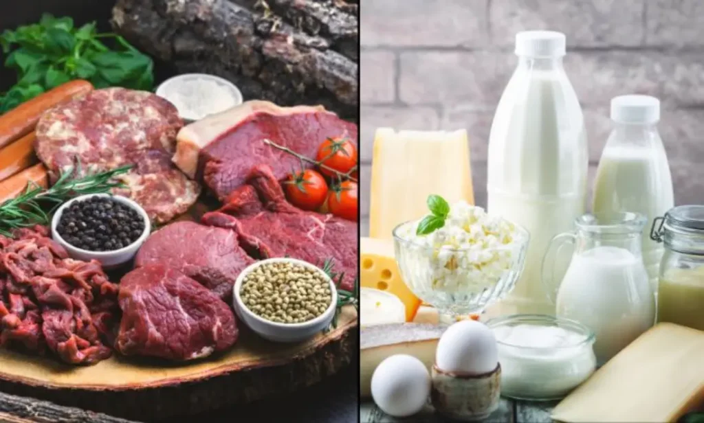 Ten Worst Foods for Prostate Health 1 Red Meat and dairy products
